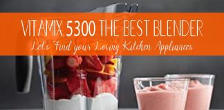 Vitamix 5300 – The Best Blender For Your Kitchen