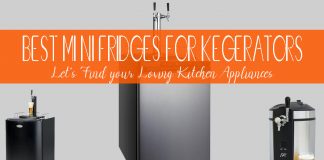 Top 12 Best Mini Fridges for Kegerators Quick Buying Guide