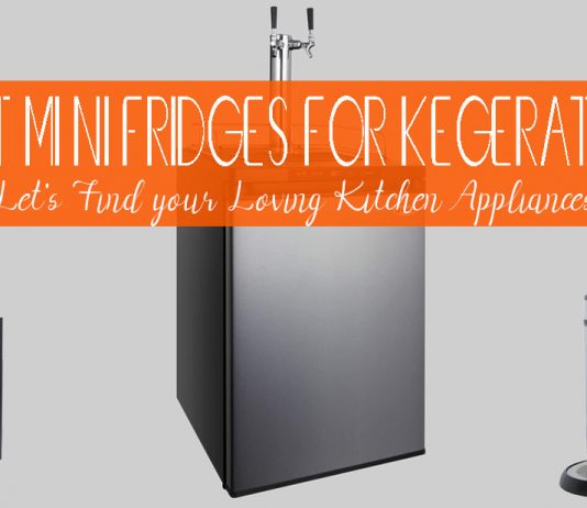 Top 12 Best Mini Fridges for Kegerators Quick Buying Guide
