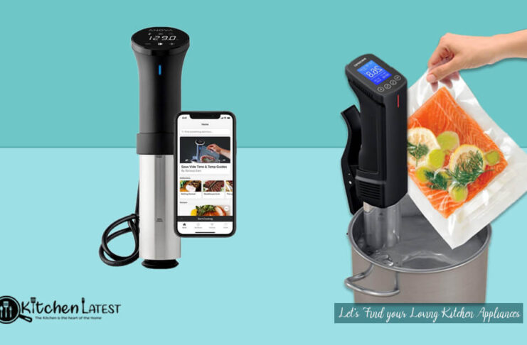 best sous vide immersion cookers